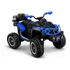 Lean Cars Keturratis XW-08 4x4 45W mėlynas