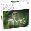 Dėlionė Tactical Tactic Puzzle Lovers Swan on Lake with Babies 1000 pcs puzzle