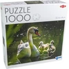 Dėlionė Tactical Tactic Puzzle Lovers Swan on Lake with Babies 1000 pcs puzzle