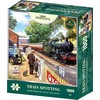 Dėlionė Taf Toys Train Spotting