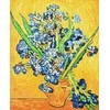 Tapyba pagal skaičius - Vaza su vilkdalgiais 40x50