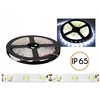 „Ecolight PS“ LED juostelė ECO* neperšlampama diodų girlianda, balta šalta šviesa, 300 diodų SMD2835, 5m, baltas pagrindas