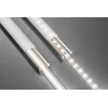 GTV LED Strip COB 12V, 320LED/m, 8mm, 8W/m, without gel, neutral baltas