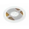 GTV LED Strip COB 12V, 320LED/m, 8mm, 8W/m, without gel, cold baltas
