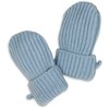 Rankšluostis TB Print Lodger Mittens Merino wełniane rękawiczki vaikams Mėlyna Fogg 0-12m MTM 110_0-12
