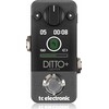 TC Electronic Ditto+ Looper - Efektyvus typu looper