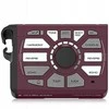 TC Helicon Perform-VG - Vokalinis procesorius gitaristams