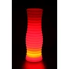 Techly Gėlių vaza su RGB LED foniniu apšvietimu ir nuotolinio valdymo pultu