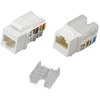 Techly Intellinet 369236 modulis Keystone RJ45 UTP Cat6, 24 vnt + užspaudimo replės
