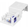 „Techly 366310“ laikiklis, skirtas 2 „Keystone“ RJ45 arba RJ11/12 moduliams
