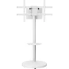 Laikiklis TECHLY grindų stovas su vežimėlio lentyna LCD/LED/plazminis televizorius 37 colių-86 colių Baltas