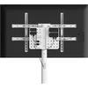Laikiklis TECHLY grindų stovas su vežimėlio lentyna LCD/LED/plazminis televizorius 37 colių-86 colių Baltas