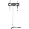 Laikiklis TECHLY Super Slim grindų stovas LCD / LED / plazminiam televizoriui nuo 32 colių iki 70 colių
