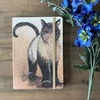 Teka Aplanko sąsiuvinis su gumine juostele A5 LCN08 Cat Coco
