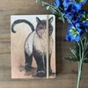 Teka Aplanko sąsiuvinis su gumine juostele A5 LCN08 Cat Coco