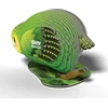 Teka Kakapo Eugy papūga Eco* 3D dėlionė