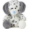 Mg Dystrybucja Teka Casey Dalmatijos talismanas