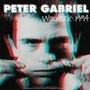 Vinilinė plokštelė Teka Peter Gabriel Woodstock 1994 - vinilo plokštelė