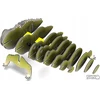 Teka Tuatara roplių Eugy. Eco* 3D dėlionė