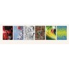 TELEGRAPH Calendar 2018 Pocket EKO IMPRESS MIX (246248)