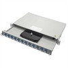 TELEGRTNER 19 FO-PP PRO-V 1U 12 LCD OM3 nPT, PROFI V, adapteris 12xLC-D