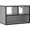 TV staliukas Televizoriaus spintelė, pilka, 60x31x39,5cm, mediena ir metalas