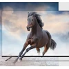 50" UHD Išmanusis televizorius televizorius KIVI 50U730QB, juodos spalvos