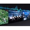 Televizorius Samsung QE65QN80FAUXXH 2025 m. modelis