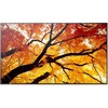 Monitorius Sharp M982 98IN UHD LFD D-LED - 24/7 550CD SDM CM SLOT