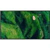 Monitorius Televizorius Sony FW50BZ35PB 50'' (FW50BZ35PB.CEI)