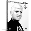 Dėlionė Telewizja Polska Hidrosa galvosūkis (skaitmeninis rekonstrukcija)