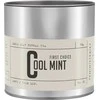 Teministeriet Ministriet - First Choice Cool Mint Nr. 2 - Biri arbata 80g