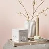 Teministeriet - Moomin Žalias Tea Pineapple - Loose Tea 80g
