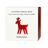 Christmas Sencha Spice loose leaf žalias tea 100g - Teministeriet