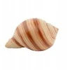 Terra Natura Aqua Natura akvariumo dekoracija žalias koralas didelis 14 cm