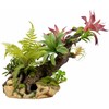 Terra Natura Augalų kompozicija terariumui 56 cm