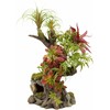Terra Natura Augalų kompozicija terariumui 42 cm