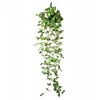 Terra Natura Terariumo dekoracijos kabantis augalas vidutinio dydžio 22 * 8 * 62 cm