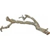 Terra Natura Kamštinio ąžuolo šakelė, 60 cm, XL