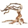 Terra Natura Skęstantis bonsai medelis Nr. 24 25x20