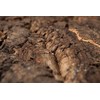 Terra Natura Terrarium fonas, kamštienos plokštė VIRGIN 30x30 cm (kilmės šalis: Portugalija)