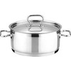 PLIENINIS PUODAS SU DANGIU PROFI TESCOMA 16cm 1,5l