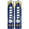 Tesla Baterija Gold+ AAA / R03 1200mAh 2 vnt.
