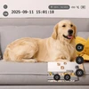 Kamera IP Tesla TESLA SecureQ SC10 Inteligentna kamera domowa su WiFi