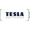 Tesla TESLA baterija alkaliczna R6 (AA) TOYS+ GIRL [4x120] 4 vnt