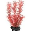 Tetra Deco Menas Raudona