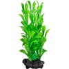 Tetra DecoArt Augalas Hygrophila M