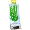 Tetra DecoArt Augalas Hygrophila M