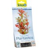 Tetra DecoArt Augalas Raudona Ludwigia S