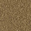 Tetra Delica Brine Krevetės 100 ml